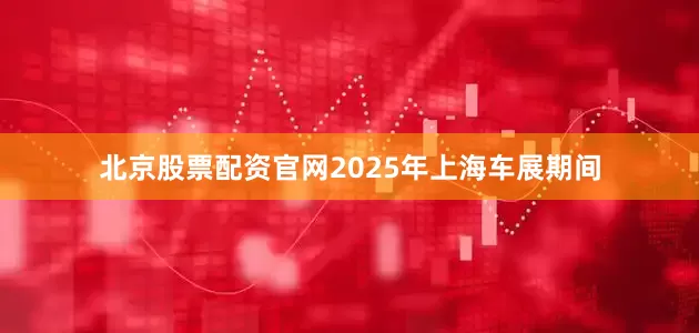 北京股票配资官网2025年上海车展期间