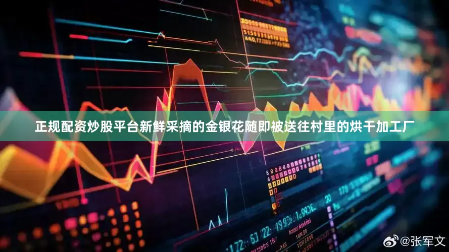 正规配资炒股平台新鲜采摘的金银花随即被送往村里的烘干加工厂