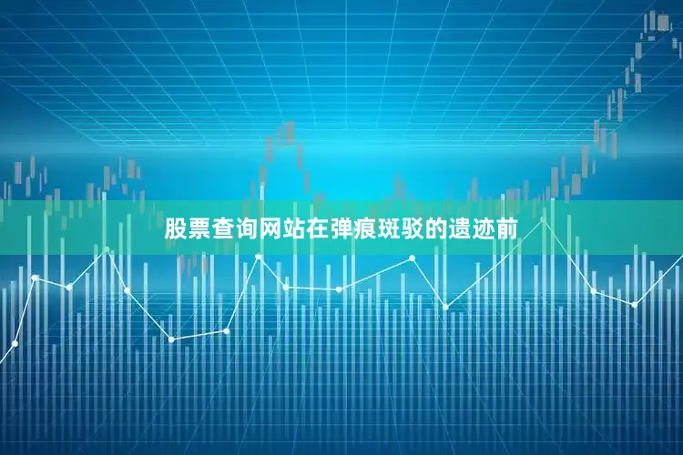 股票查询网站在弹痕斑驳的遗迹前